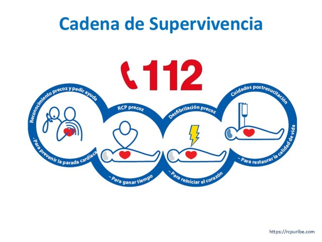 Cadena de supervivencia 112