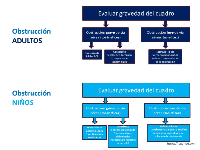 OVACE niños y adultos